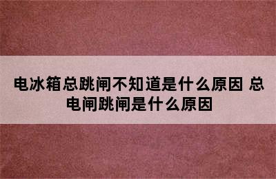 电冰箱总跳闸不知道是什么原因 总电闸跳闸是什么原因